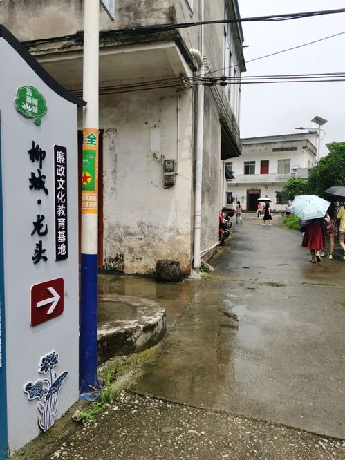 吃柳鋼雪條 逛螺螄粉廠 尋紅色足跡 聽黨史... 云游柳州驚奇 大有看頭