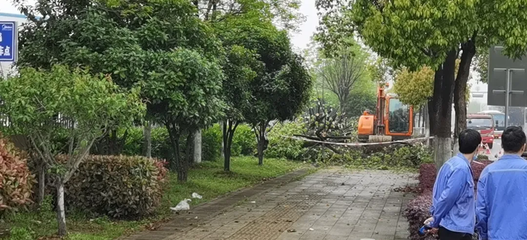 學(xué)黨史辦實事丨車谷先進(jìn)制造產(chǎn)業(yè)區(qū)做實“實踐課堂”