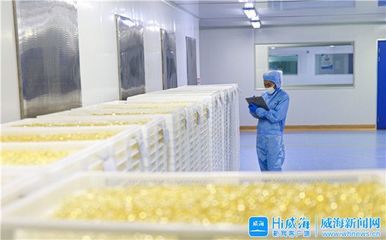 威海黨史史志網(wǎng) 威海要聞 打好“特字牌”,威海各區(qū)市、開發(fā)區(qū)護(hù)航先進(jìn)制造業(yè)突破發(fā)展