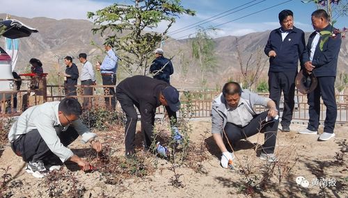 黃南州尖扎縣 田間地頭 微課堂 讓黨史學(xué)習(xí)教育 活起來