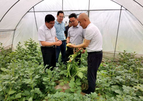 學黨史 辦實事 學校聚焦三門村群眾急難愁盼 助力鄉(xiāng)村振興