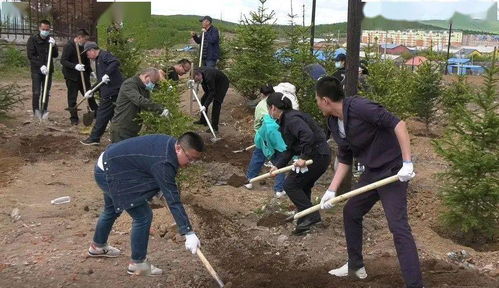 學(xué)黨史 踐初心 植樹添綠美家園