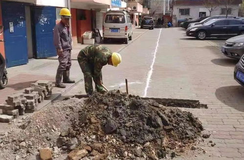 黨史學(xué)習(xí)見(jiàn)成效 為民辦事出實(shí)招