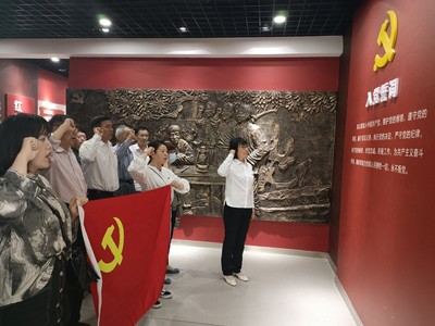 南京市高淳區(qū)淳溪街道大豐社區(qū)開展“紅色教育踐初心、黨史學(xué)習(xí)擔(dān)使命”主題黨日活動(dòng)