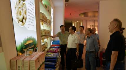 市委黨史學(xué)習(xí)教育第八巡回指導(dǎo)組到市供銷社督導(dǎo)黨史工作